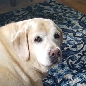 Meet your Posher, Ashlee